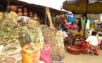 Côte d’Ivoire : Les prix à la consommation augmentent de 0,2% en novembre 2023.