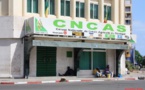 CAISSE NATIONALE DE CREDIT AGRICOLE DU SENEGAL : Le pillage organisé