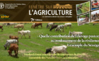 Elevage : La FAO déplore la faible prise en compte de l’élevage pastoral dans les politiques agricoles au Sénégal