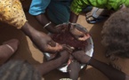 INSECURITE ALIMENTAIRE AU SENEGAL :927.416 PERSONNES MENACEES DE FAMINE