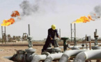 Découvertes des ressources pétrolières et gazières :   L’esprit, la lettre et la mise en œuvre