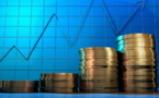 INVESTISSEMENTS ETRANGERS EN AFRIQUE : Des Etats cupides, des populations spoliées