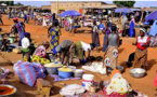 Bénin : Les prix à la consommation enregistrent une hausse de 0,8% en décembre 2023.