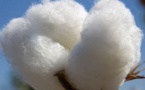 Bénin : hausse de 39% de la production agricole sur la campagne 2014/2015
