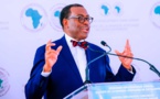 Changement climatique, inflation, insécurité alimentaire…  : Le président de la Bad se félicite de la résilience des pays africains