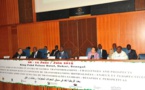 Afrique: La Ghanéenne Dzodzi Tsikata nouvelle présidente du CODESRIA