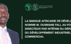Banque africaine de développement : Ousmane Fall nommé directeur par intérim du Département du  développement industriel et commercial
