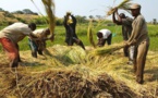 80% des petits agriculteurs sont en Afrique et chacun nourrit sa famille (Jean-Paul CARTERON)