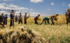 Agriculture : Faibles précipitations en début de la campagne agricole 2023 /2024 au Maroc.