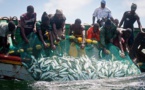 Pêche : L’Assemblée Nationale adopte un nouveau code de la pêche maritime