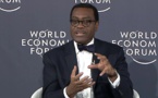 Libération du potentiel agricole de l’Afrique : L’appel du président de la Bad lors du Forum économique mondial de Riyad