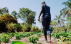 Accompagnement des entreprises dans l’agriculture : La Der/Fj et ses partenaires promeuvent le « numérique agricole »