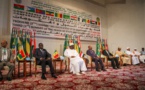 Agence Panafricaine de la grande Muraille Verte : Un rempart aux changements climatiques