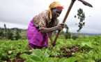 Agriculture : La BAD arme les femmes