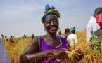 Autonomisation des femmes : L’Afrique de l’ouest fait des progrès