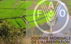 Journée Mondiale de l’Alimentation: La FAO plaide pour une combinaison entre agriculture et protection sociale