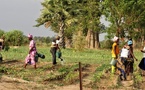 Promotion de l’entrepreneuriat des femmes et des jeunes : La Banque africaine de développement octroie plus de 74 millions d’euros au Sénégal