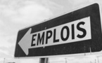 Emploi : Baisse de 0,4% des effectifs de l’emploi salarié en août 2015 au Sénégal