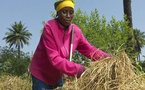 Financement de projets de développement rural : Le Fida et Dbsa signent un mémorandum d’accord
