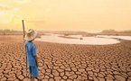 AFRIQUE-  Catastrophes liées au climat : Le fardeau financier annuel pourrait atteindre 50 milliards de dollars américains d'ici 2030 (Rapport)