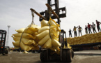 Sénégal : Le riz représente 70% du volume total des importations de céréales Sénégal : Le riz représente 70% du volume total des importations de céréales