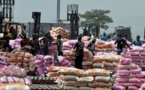 Riz : Le prix du Kg de riz parfumé baisse de 2,2% en décembre 2015 au Sénégal