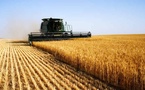 Récépissé d’entrepôt : Passeport vers un marché boursier agricole