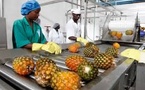  Sénégal : Baisse de l’activité du secteur secondaire en juin 2025