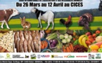 FIARA : L’ASEPEX répond au rendez-vous