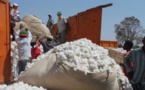 Sénégal : Baisse de 765 tonnes de la production de coton en février 2016