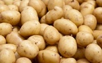 Pommes de terre : Le ministre Mabouba Diagne annonce une production record de plus de 255 milles tonnes