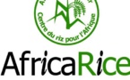 Agriculture : Africarice ouvre un centre de formation aux métiers rizicoles à Saint-Louis