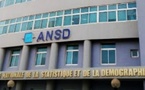 Répertoire national des entreprises et associations : L’Ansd note un recul de 8,4% au premier trimestre 2026