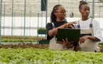 Accélération de la transformation digitale : La Cea mise sur l’entrepreneuriat féminin