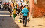 SENEGAL - Marché du travail : Les travailleurs indépendants demeurent majoritaires