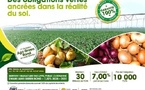 L’agriculture sénégalaise se finance sur le marché régional