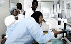 Sénégal : Le chiffre d’affaires des services recule au premier trimestre 2026