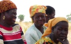 Entreprenariat : L’OMCC et la Fondation Mondiale du Cacao arment des femmes ivoiriennes
