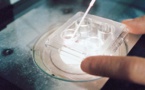 Chine : la révolution scientifique est en marche