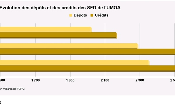 Microfinance dans l’Umoa : Augmentation de 38,8 milliards FCfa de l’encours des dépôts collectés par les Sfd à fin décembre 2024