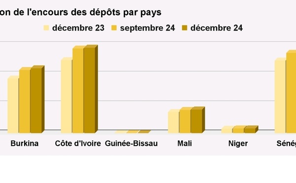 Crédit octroyés par les sfd de l’Umoa : Une augmentation de 128,5 milliards FCfa enregistrée au 31 décembre 2024