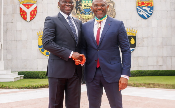 Contribution au développement économique de l’Afrique : Le Président gabonais honore Tony Elumelu