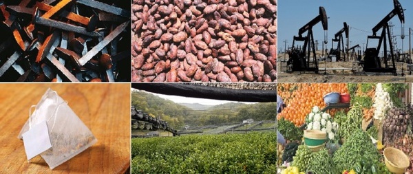 Marché mondial des matières premières : Les prix du maïs, du pétrole brut et du blé en hausse, ceux sucre, du coton et du riz chutent