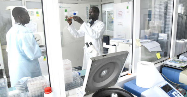 Sénégal : Baisse de chiffre d’affaires dans le commerce et les services en avril 2025