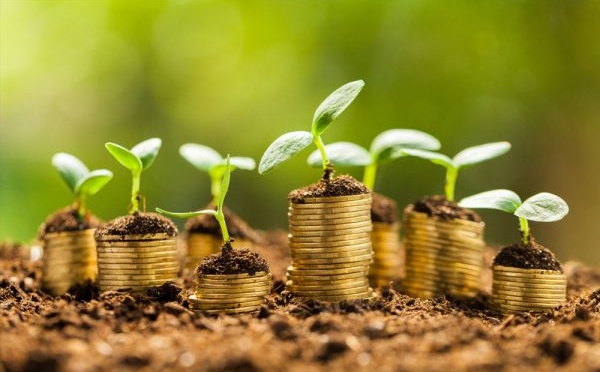 L'Afrique réinvente le financement climatique