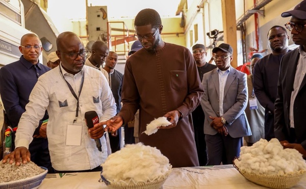 Tournée économique dans la région de Kolda : Le président Faye met en lumière le rôle stratégique de la filière coton