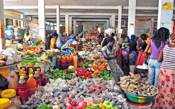 Marché du travail sénégalais : Le secteur tertiaire domine l’emploi