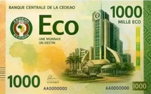 La monnaie commune africaine se fait toujours attendre